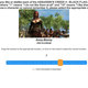 Image for article titled Ubisoft Is Asking Surprising Questions About Assassin's Creed's Future